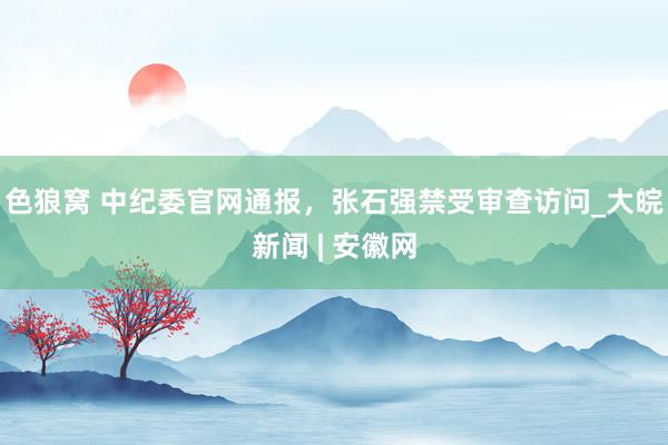 色狼窝 中纪委官网通报,张石强禁受审查访问_大皖新闻 | 安徽网