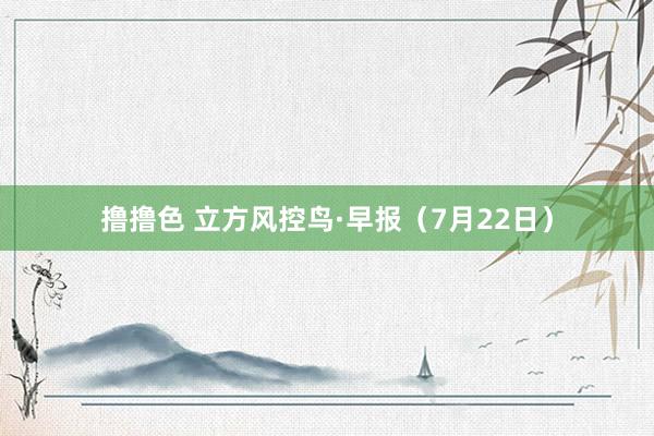 撸撸色 立方风控鸟·早报（7月22日）
