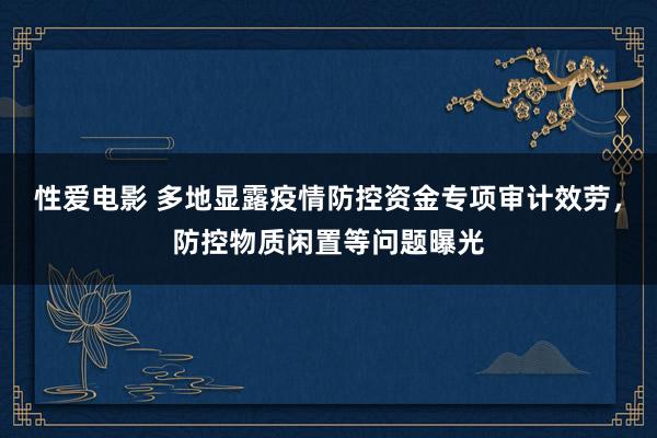 性爱电影 多地显露疫情防控资金专项审计效劳，防控物质闲置等问题曝光