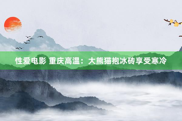 性爱电影 重庆高温：大熊猫抱冰砖享受寒冷