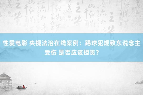性爱电影 央视法治在线案例：踢球犯规致东说念主受伤 是否应该担责？