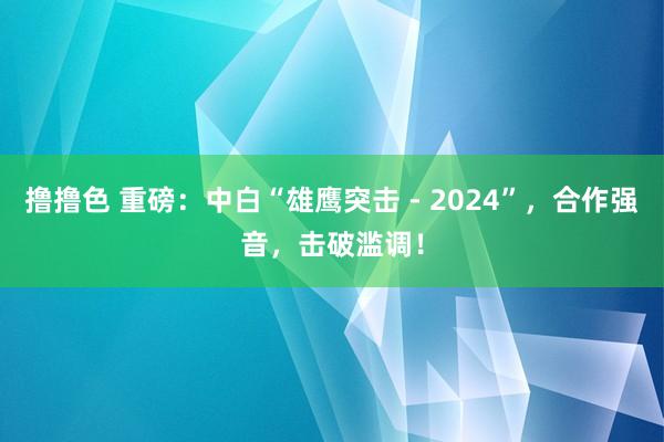 撸撸色 重磅：中白“雄鹰突击 - 2024”，合作强音，击破滥调！