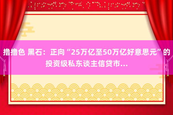 撸撸色 黑石：正向“25万亿至50万亿好意思元”的投资级私东谈主信贷市...