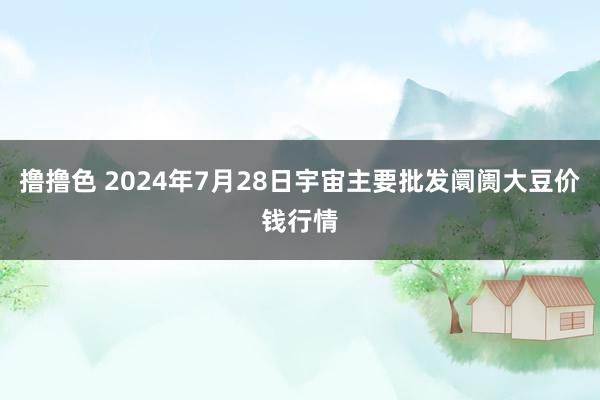 撸撸色 2024年7月28日宇宙主要批发阛阓大豆价钱行情