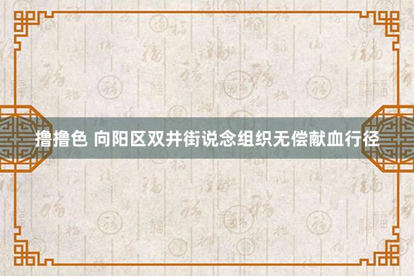 撸撸色 向阳区双井街说念组织无偿献血行径