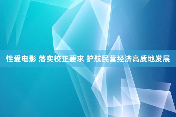 性爱电影 落实校正要求 护航民营经济高质地发展
