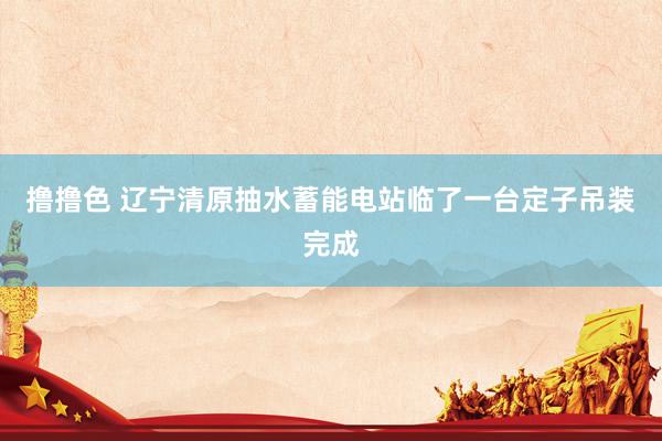 撸撸色 辽宁清原抽水蓄能电站临了一台定子吊装完成