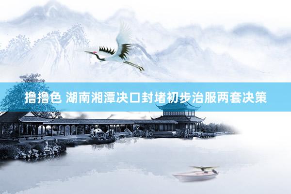 撸撸色 湖南湘潭决口封堵初步治服两套决策