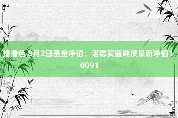 撸撸色 8月2日基金净值：诺德安盛纯债最新净值1.0091