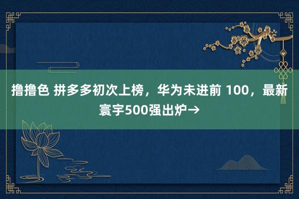 撸撸色 拼多多初次上榜，华为未进前 100，最新寰宇500强出炉→