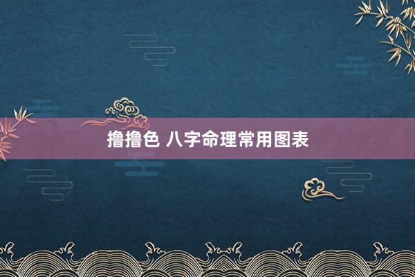 撸撸色 八字命理常用图表