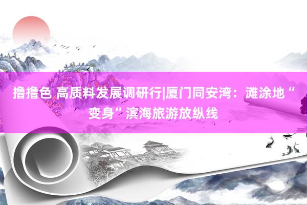 撸撸色 高质料发展调研行|厦门同安湾：滩涂地“变身”滨海旅游放纵线