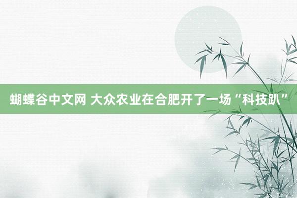 蝴蝶谷中文网 大众农业在合肥开了一场“科技趴”
