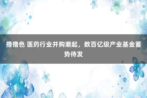 撸撸色 医药行业并购潮起，数百亿级产业基金蓄势待发