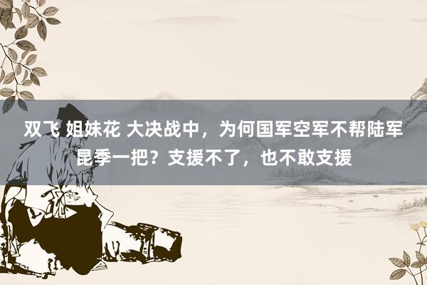 双飞 姐妹花 大决战中，为何国军空军不帮陆军昆季一把？支援不了，也不敢支援