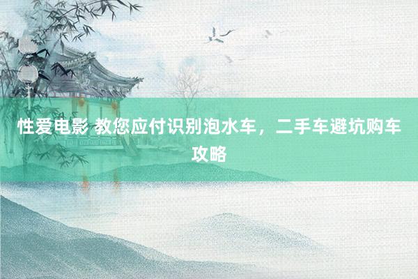性爱电影 教您应付识别泡水车，二手车避坑购车攻略