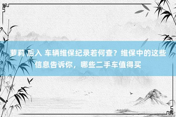萝莉 后入 车辆维保纪录若何查？维保中的这些信息告诉你，哪些二手车值得买