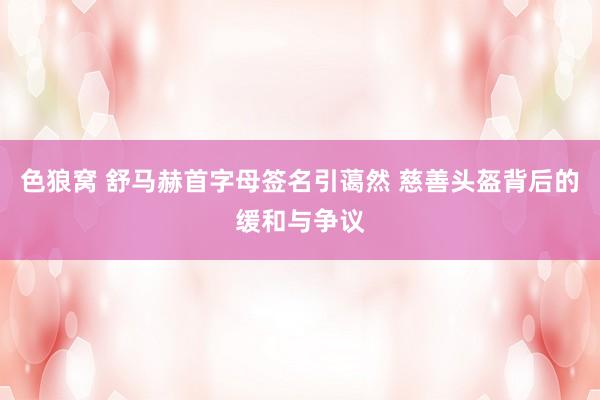 色狼窝 舒马赫首字母签名引蔼然 慈善头盔背后的缓和与争议