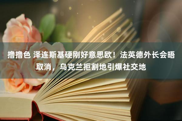 撸撸色 泽连斯基硬刚好意思欧！法英德外长会晤取消，乌克兰拒割地引爆社交地