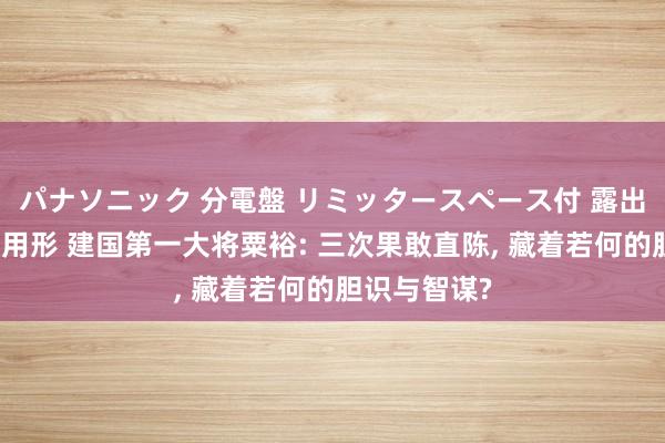 パナソニック 分電盤 リミッタースペース付 露出・半埋込両用形 建国第一大将粟裕: 三次果敢直陈， 藏着若何的胆识与智谋?