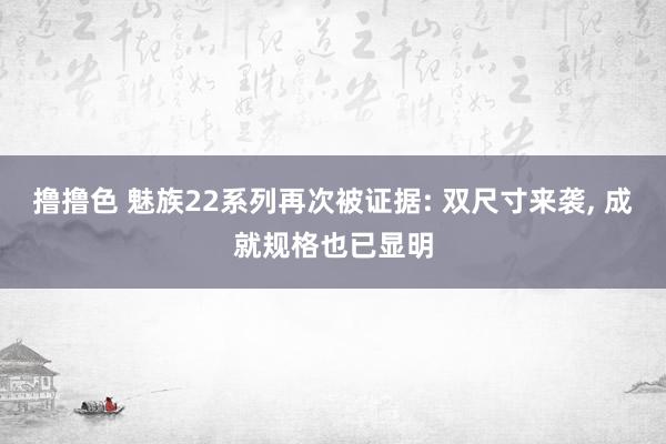 撸撸色 魅族22系列再次被证据: 双尺寸来袭， 成就规格也已显明
