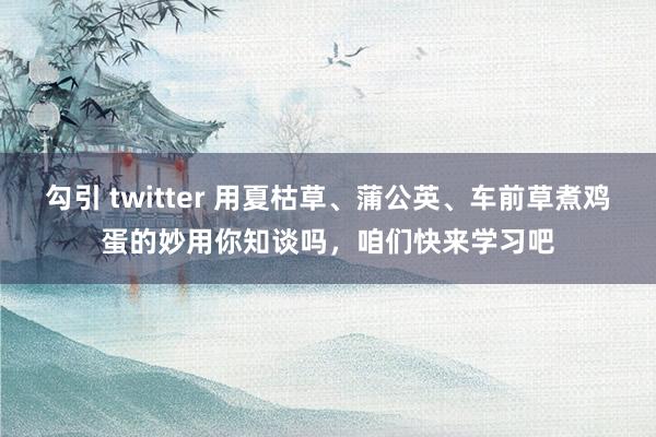 勾引 twitter 用夏枯草、蒲公英、车前草煮鸡蛋的妙用你知谈吗,咱们快来学习吧